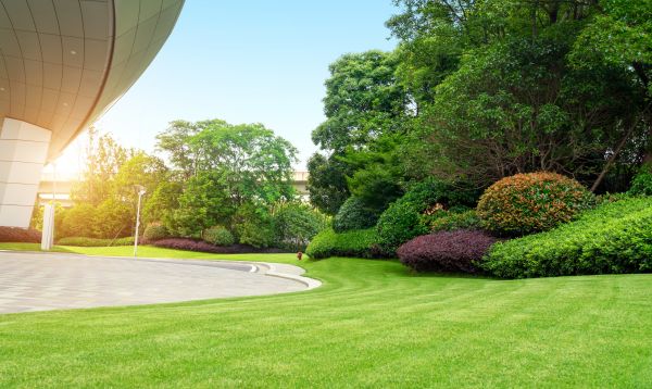 Cost of Commercial Lawn Mowing in Mount Vernon