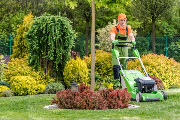 Cost of Yard Service in Mount Vernon