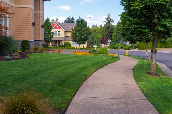 Cost of Home Lawn Maintenance in Mount Vernon
