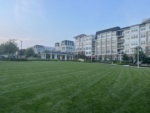 Cost of Urban Lawn Care in Mount Vernon