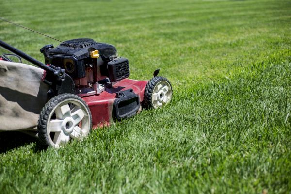 Cost of Routine Lawn Care in Mount Vernon