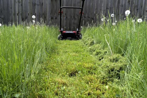 Cost of High Grass Mowing in Mount Vernon