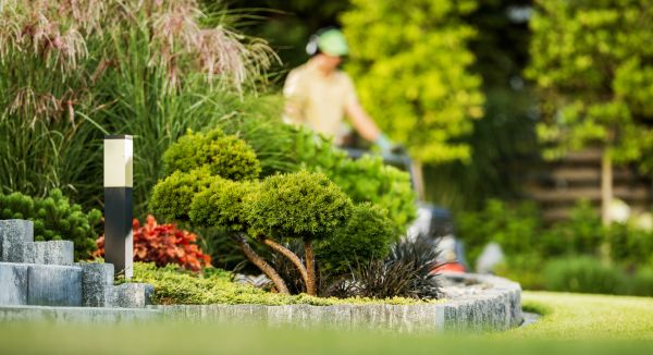 Cost of Residential Yard Maintenance in Mount Vernon