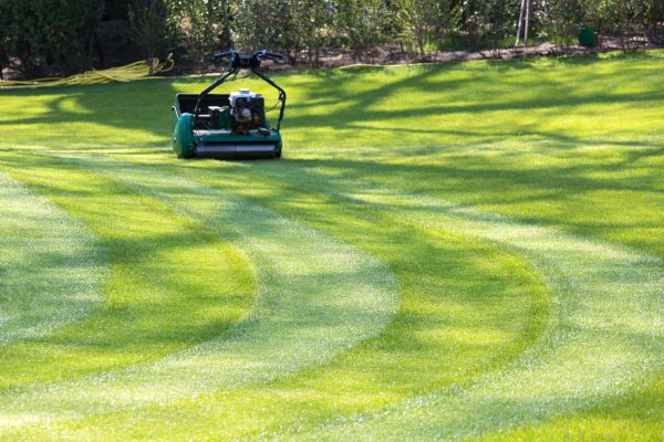 Cost of Business Lawn Mowing in Mount Vernon