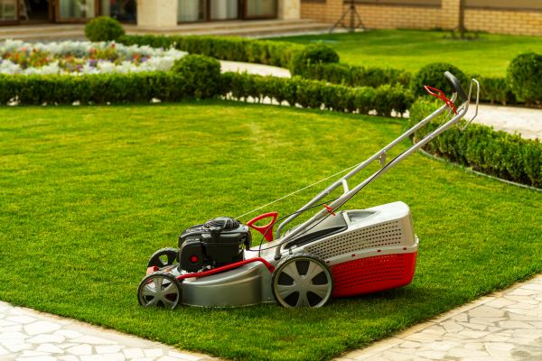 Cost of Business Grass Cutting in Mount Vernon