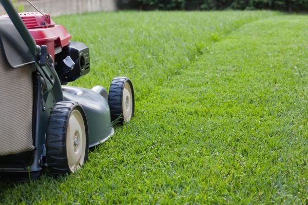 Spring Lawn Maintenance in Mount Vernon
