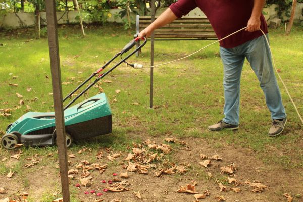Cost of Leaves Mowing in Mount Vernon