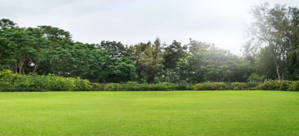 Cost of Golf Course Mowing in Mount Vernon