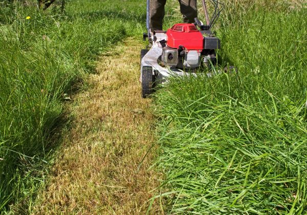 Cost of Leaf Mowing in Mount Vernon
