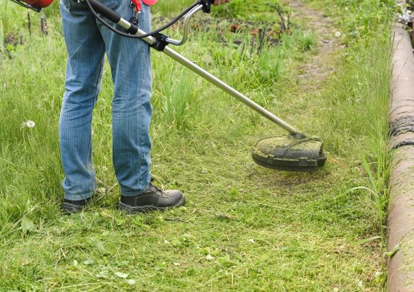Cost of Tall Grass Trimming in Mount Vernon