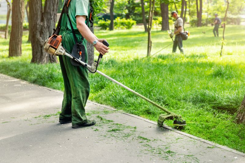 Business Grass Cutting