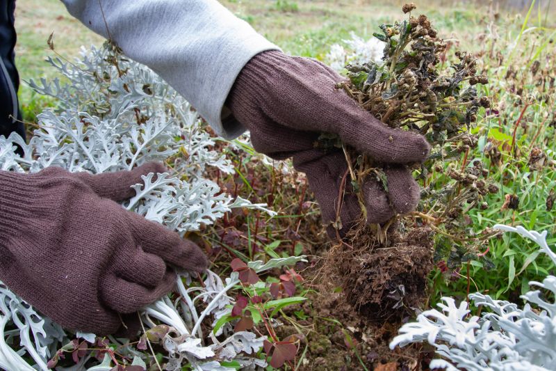 Business Groundskeeping