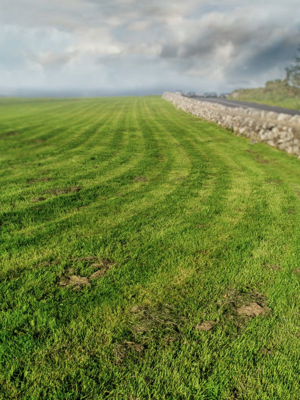 Commercial Groundskeeping