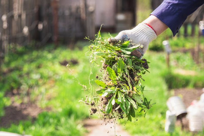 Commercial Groundskeeping