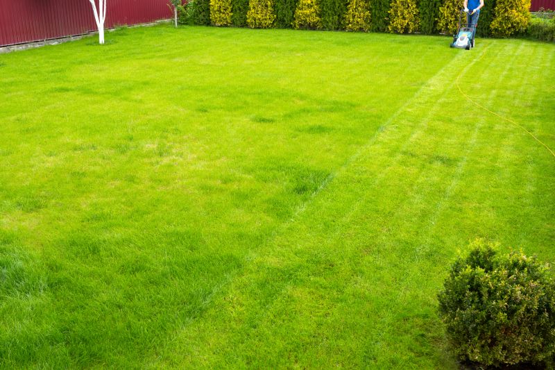 Commercial Lawn Service