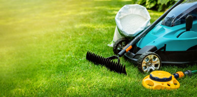 Fall Lawn Care