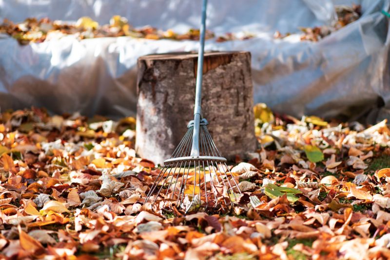Fall Mowing
