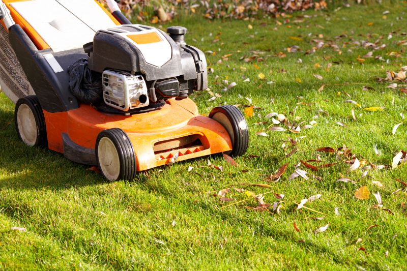 Fall Mowing