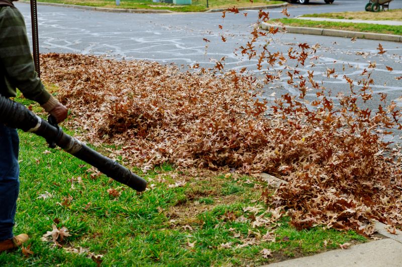 Fall Mowing