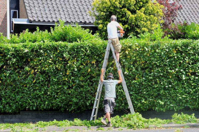 Fence Line Trimming