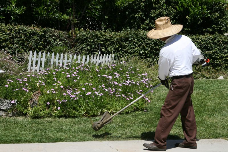 Fence Line Trimming