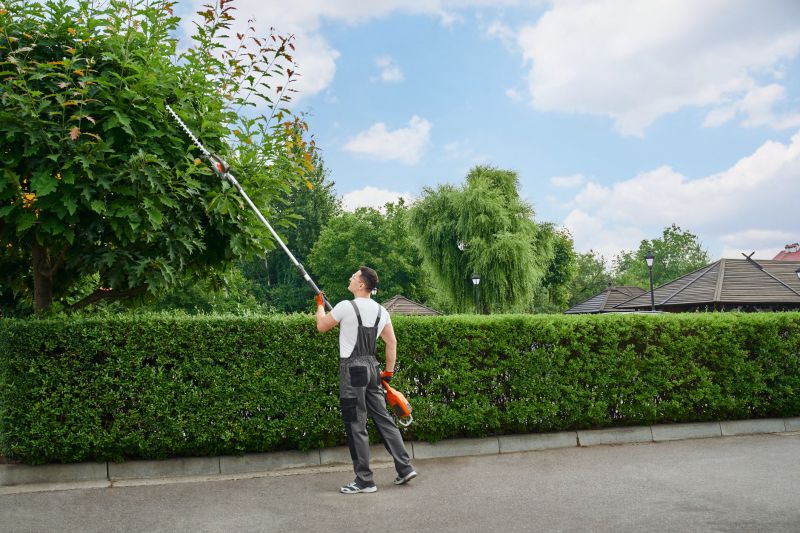 Fence Line Trimming