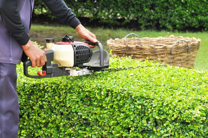 Fence Line Trimming