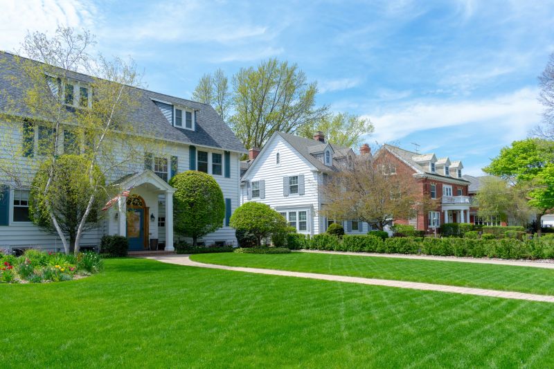 Business Lawn Maintenance detail