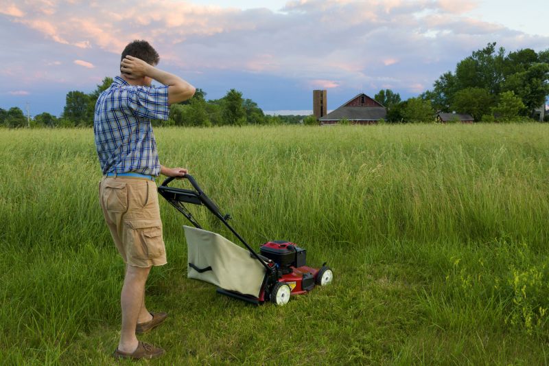 Grass Mowing detail