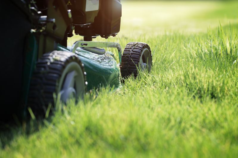 Lawn Mowing detail