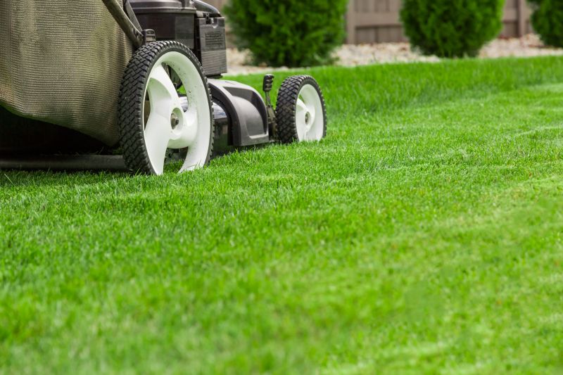 Lawn Mowing detail