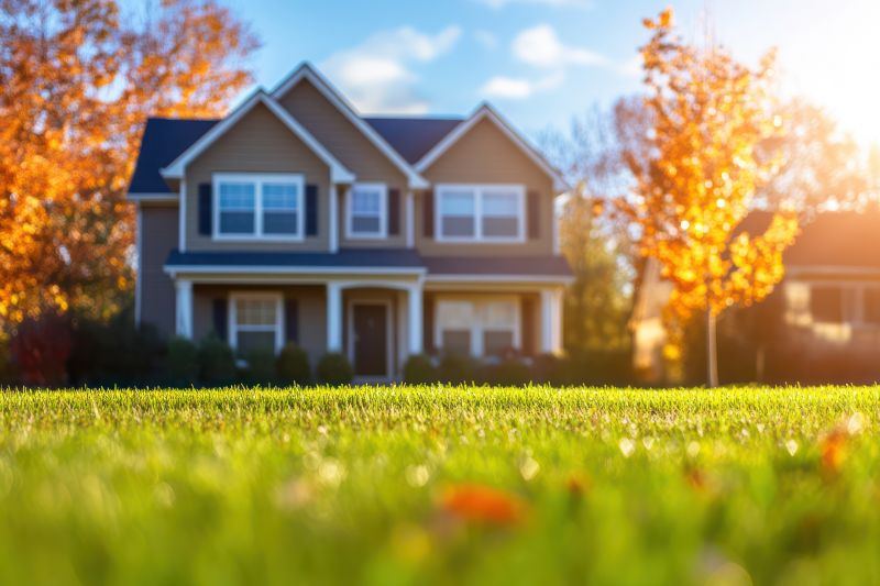 Residential Lawn Care detail