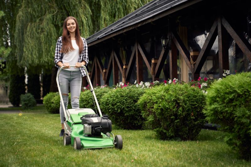 Residential Lawn Mowing detail