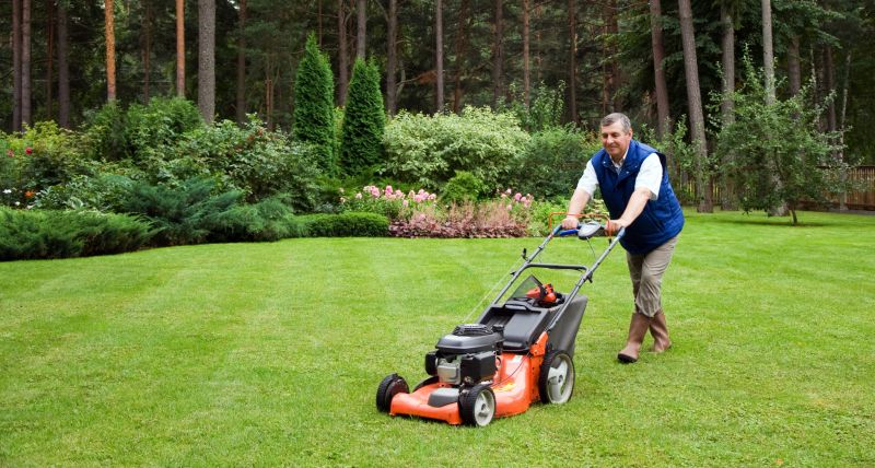 Residential Lawn Mowing detail
