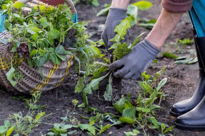 Weed Whacking detail