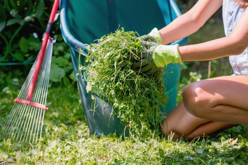 Grass Cutting Service