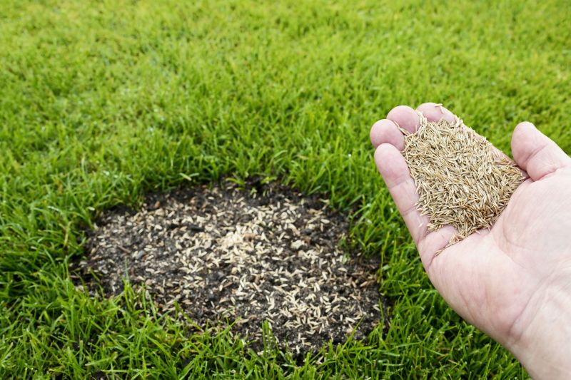 Grass Maintenance