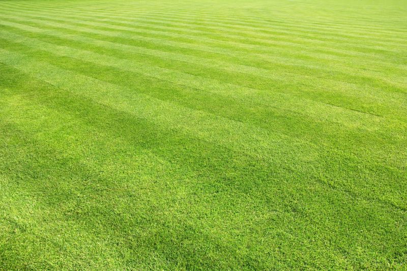 Grass Maintenance