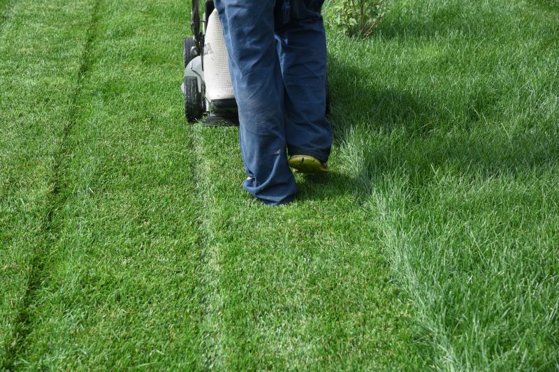 Grass Mowing