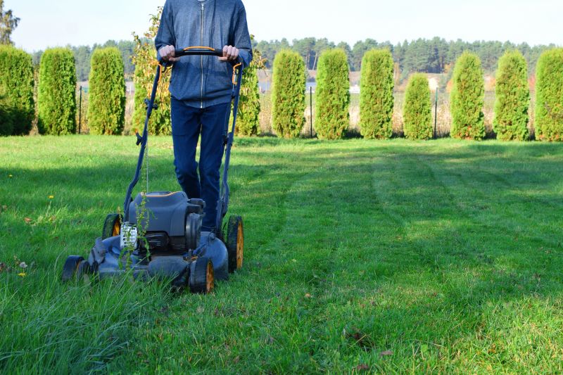 Grass Mowing
