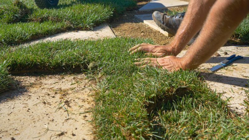 Grass Topdressing