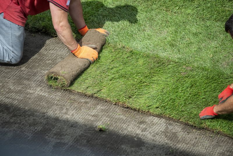 Grass Topdressing