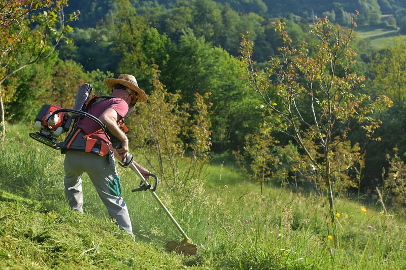 Grass Trimming Service