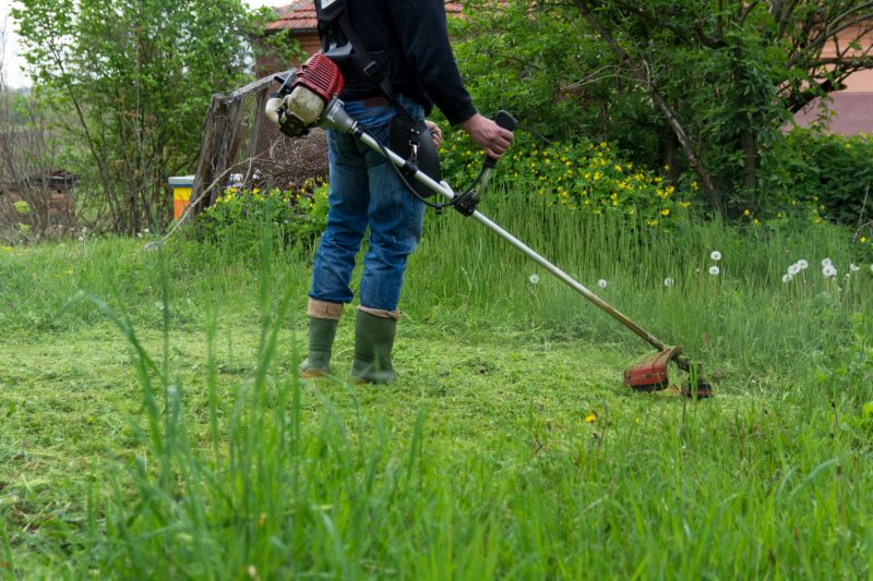 Grass Trimming Service
