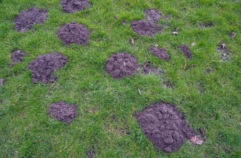 Groundskeeping Service