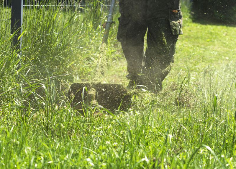 High Grass Mowing