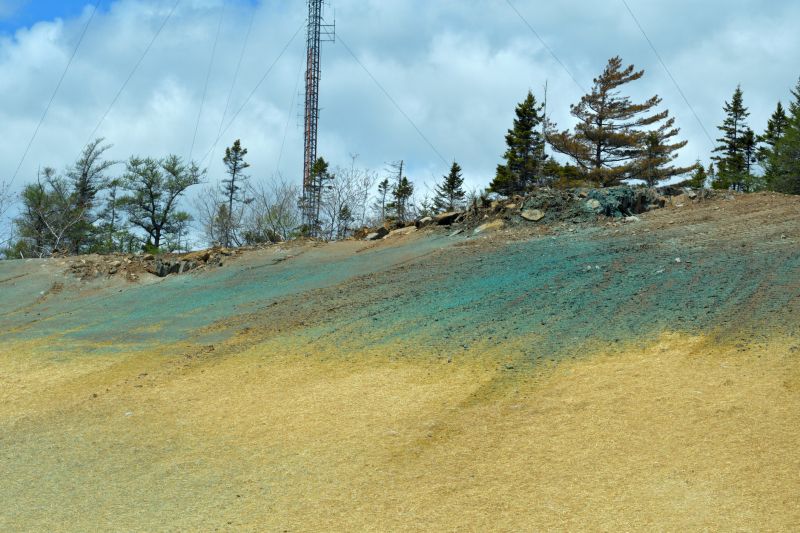 Hillside Mowing