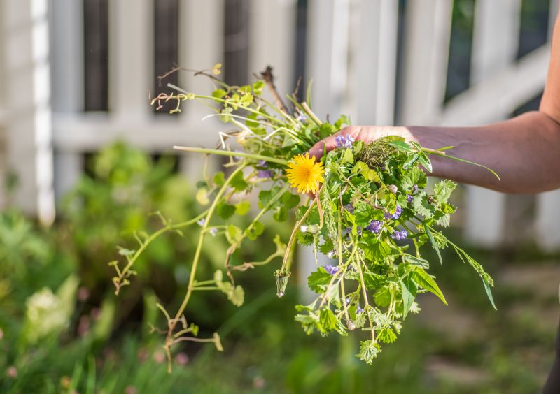 Hillside Weed Whacking