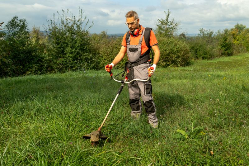 Hillside Weed Whacking
