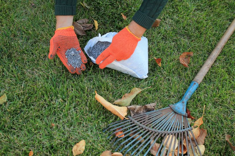 Home Lawn Maintenance